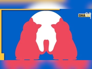 Optical Illusion: कुत्ता दिखा या बिल्लियां? जवाब बताएगा कैसी है आपकी पर्सनैलिटी