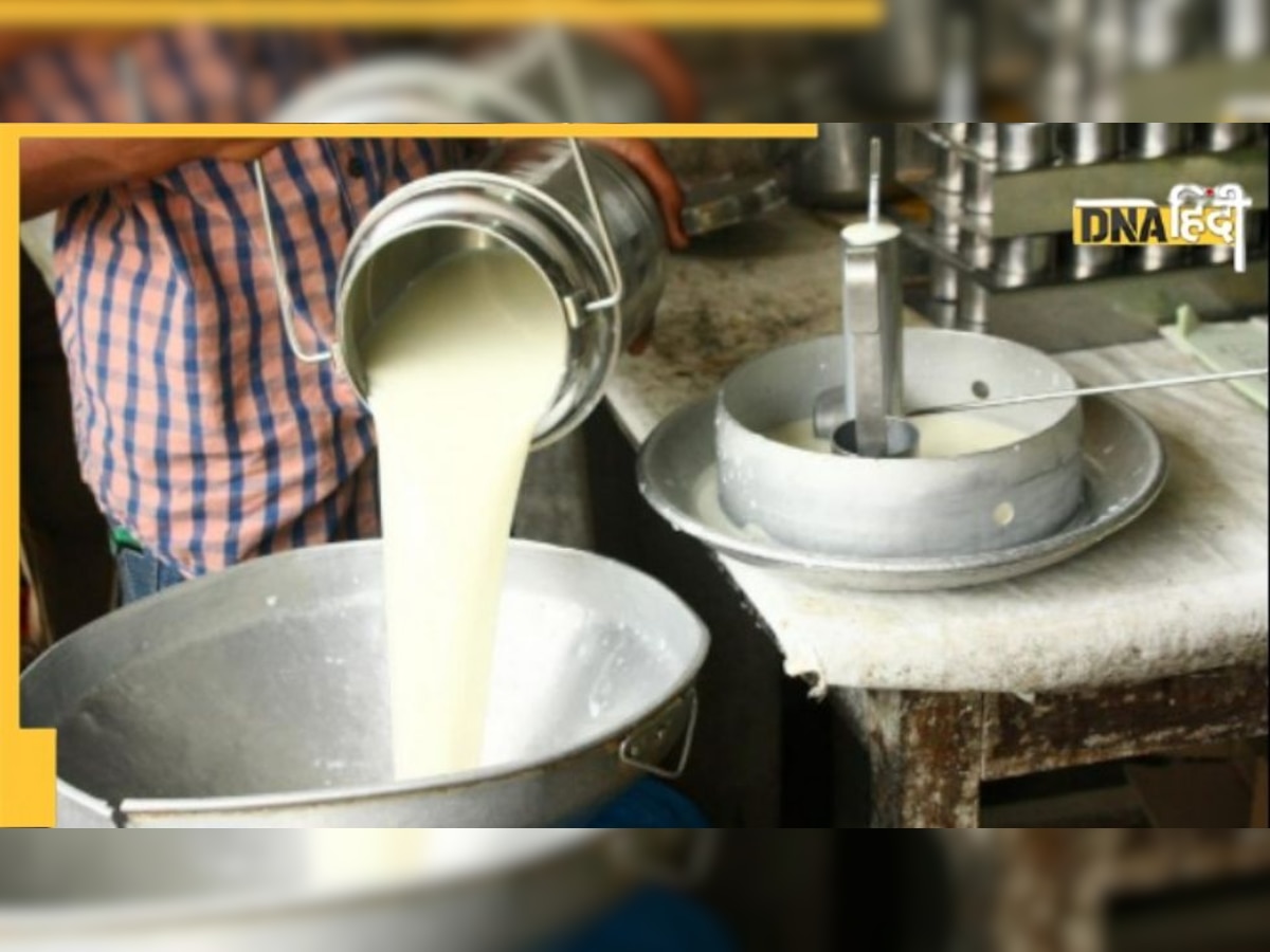 World Milk Day : बिना MSP के दूध का बाजार 8.5 लाख करोड़ के पार, गेहूं-चावल की कुल कीमत से 50 प्रतिशत ज्यादा 