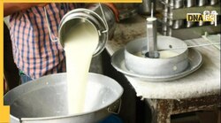 World Milk Day : बिना MSP के दूध का बाजार 8.5 लाख करोड़ के पार, गेहूं-चावल की कुल कीमत से 50 प्रतिशत ज्यादा 