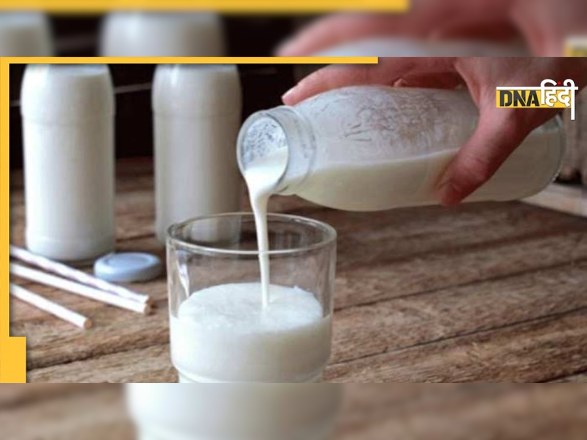 World Milk Day: न्यूट्रिशन का भंडार है दूध, रोज पीने पर सेहत से लेकर स्किन तक को मिलते हैं ये 5 बेनिफिट्स