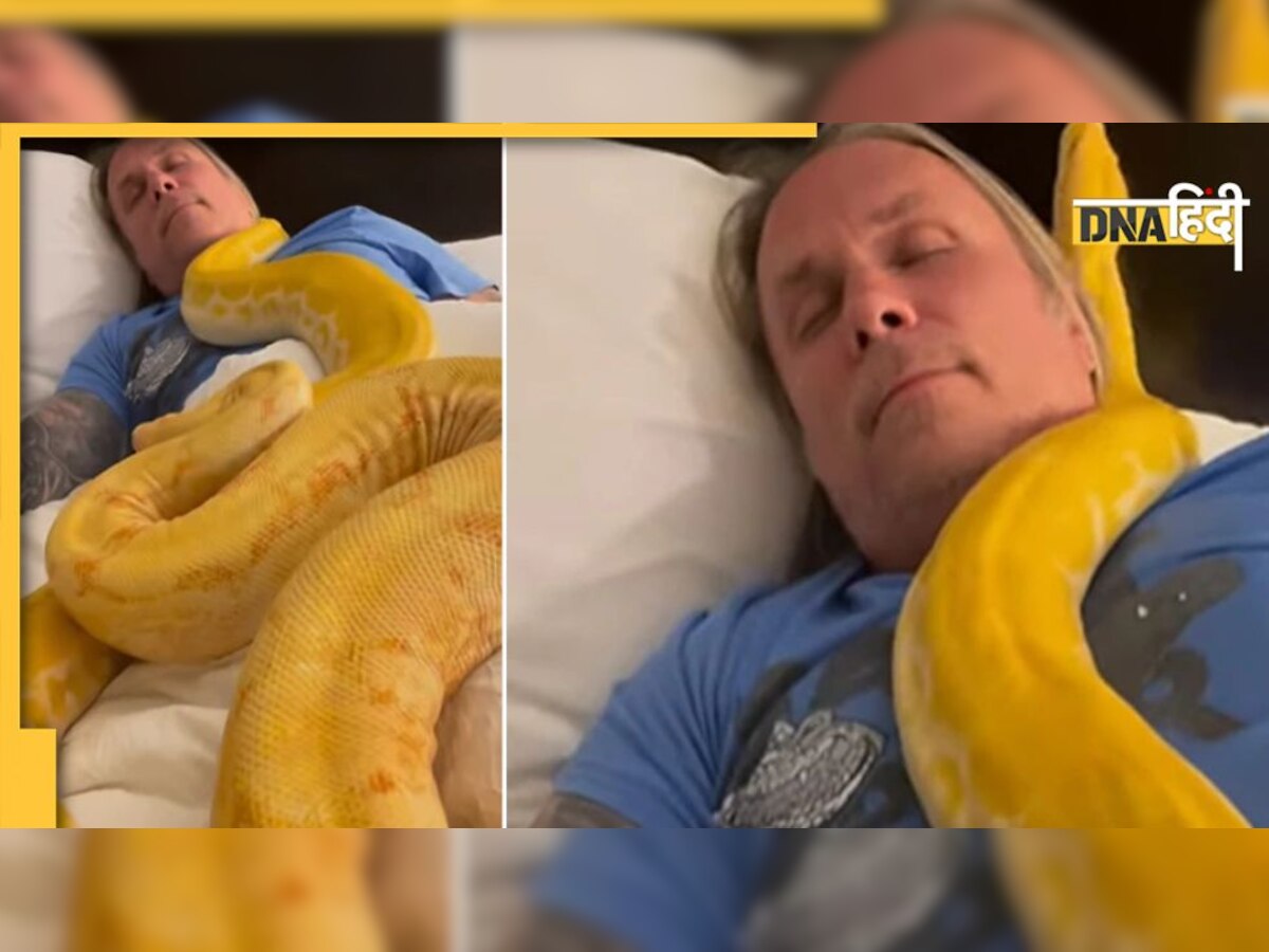 Snake Video: बेड पर सो रहा था शख्स, रेंगते-रेंगते सीने पर चढ़ गए दो अजगर