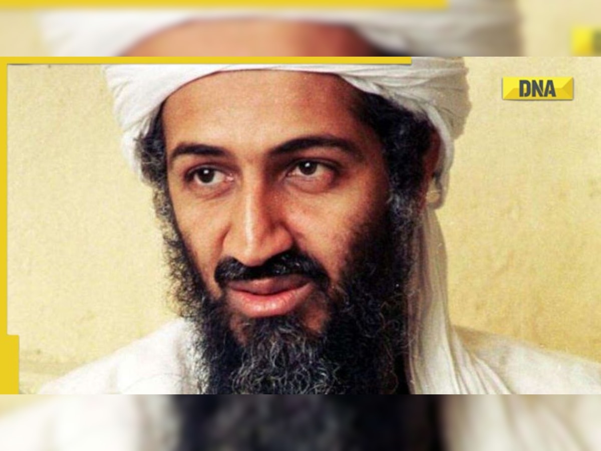 'Osama was the best junior engineer of the world': UP official displays terrorist's picture in office