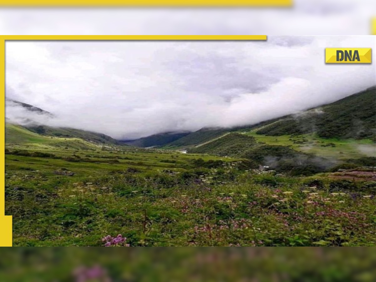 Uttarakhand's Valley of Flowers opens for tourists
