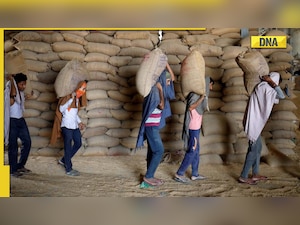 DNA Explainer: Why Turkey rejected India's wheat consignment?