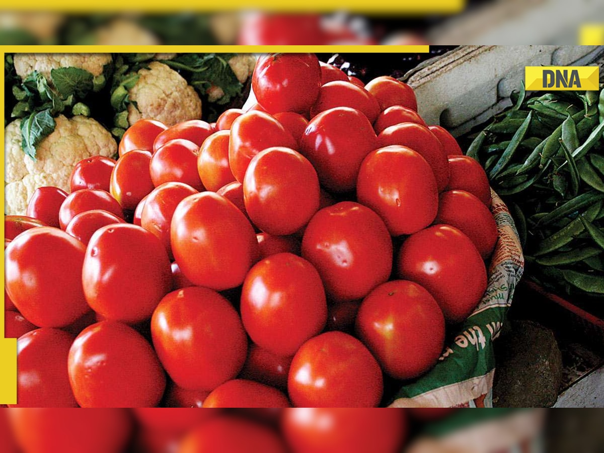 Inflation alert! Tomato prices double in Mumbai, Chennai and other metros, check city-wise rates here