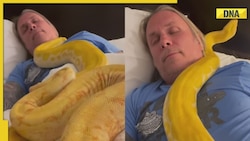 Video of man sleeping comfortably with 2 pythons leaves netizens amazed