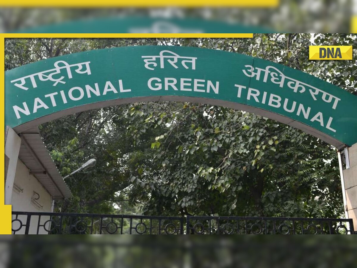 Delhi's slaughterhouse shut for violating green norms; may lead to rise in meat prices, say traders