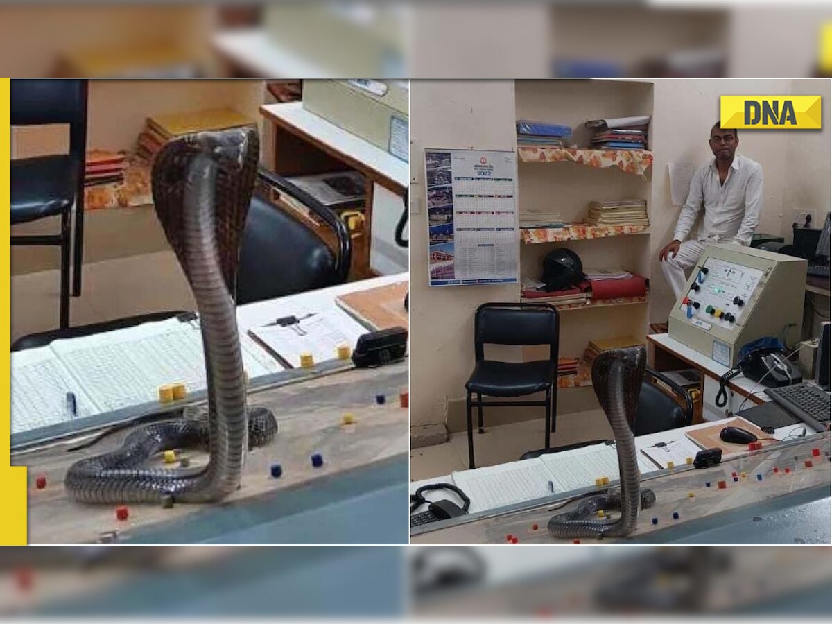 6-feet Cobra caught sitting on station master's desk at Kota Railway station, here's how netizens react