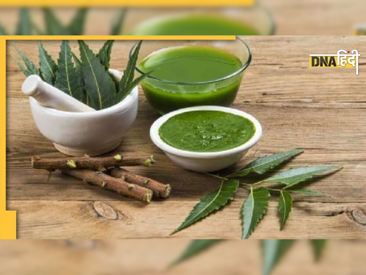 Neem की पत्तियों से मिलते हैं ये 3 जबरदस्त फायदे, जानकर हैरान रह जाएंगे आप