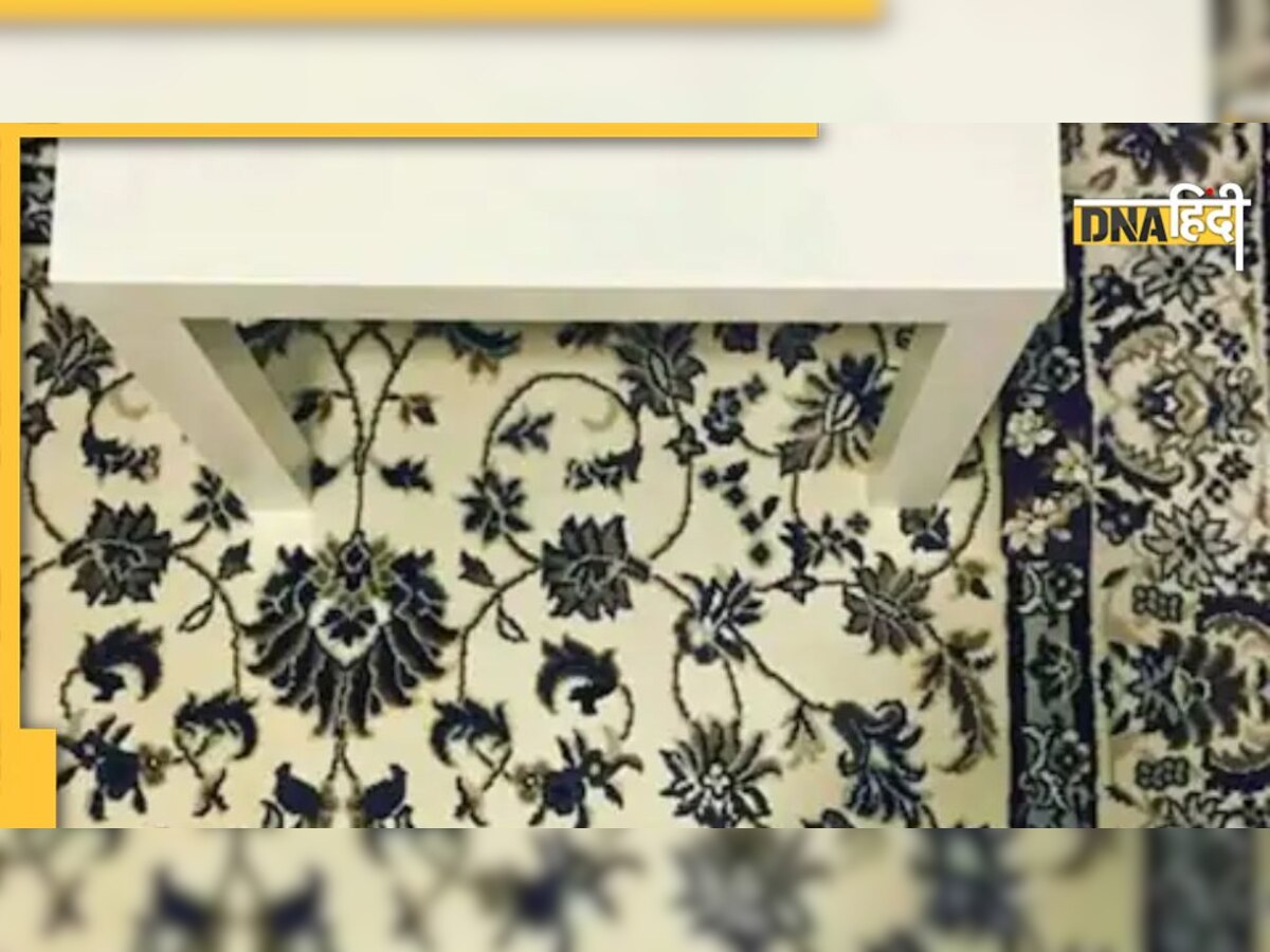 Optical Illusion: कार्पेट पर गिरा फोन ढूंढ़ो तो जानें, बड़े-बड़े मान चुके हैं हार