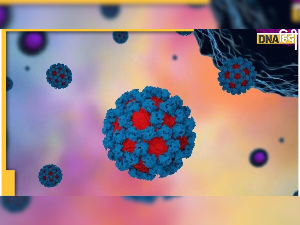 Norovirus क्या है यह बीमारी, जानिए लक्षण और बचाव के उपाय, नहीं काम करती है यह Covid स्पेशल चीज़ 