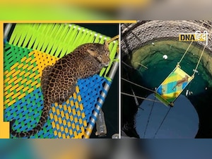 Viral: 45 फीट गहरे कुएं में डूब रहा था तेंदुआ, गांववालों ने यूं चारपाई की मदद से बचाई जान 