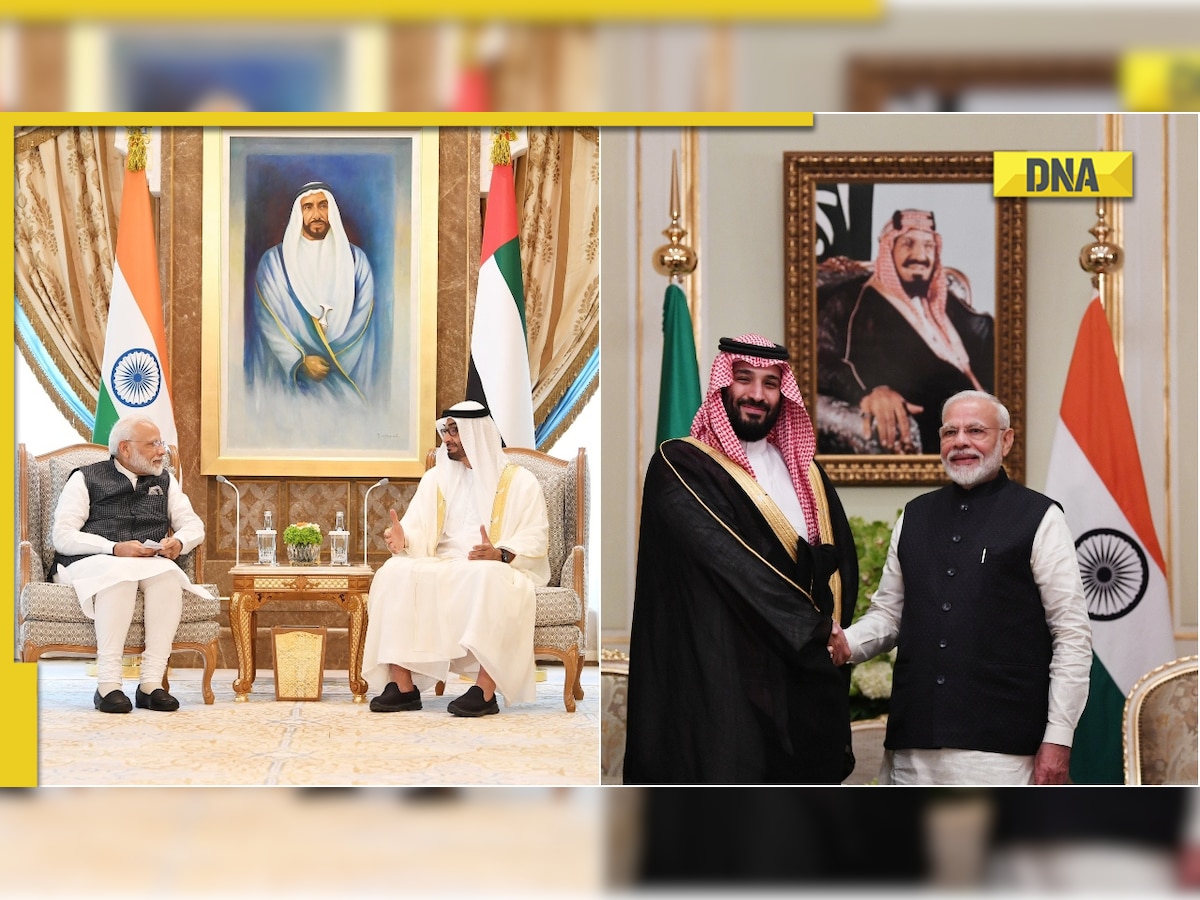 DNA Explainer: Why Gulf matters to India? How much are we inter-dependent