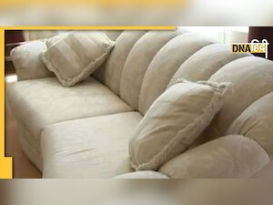 Good Luck: महिला को फ्री में मिला सेकेंड हैंड सोफा, घर आया तो गद्दी में से निकले 28 लाख रुपये