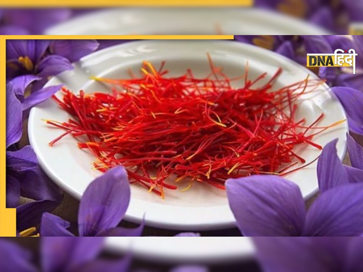 Saffron Buying Tips: इन 4 तरीकों से पहचानिए असली केसर, सोने के भाव बिकता है यह मसाला