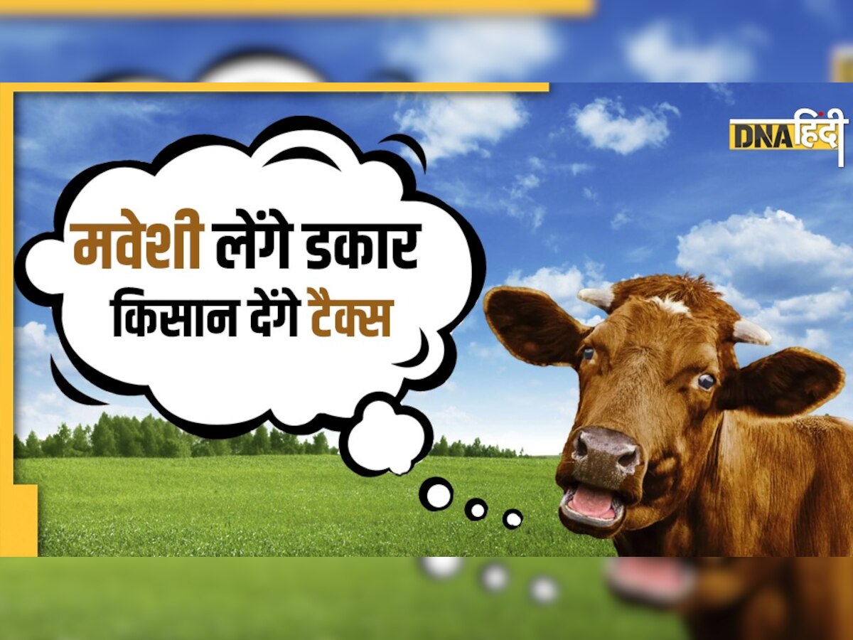 गाय, भैंस, भेड़ और बकरियों की डकार पर लगेगा टैक्स, जानें कब शुरू होगी व्यवस्था 