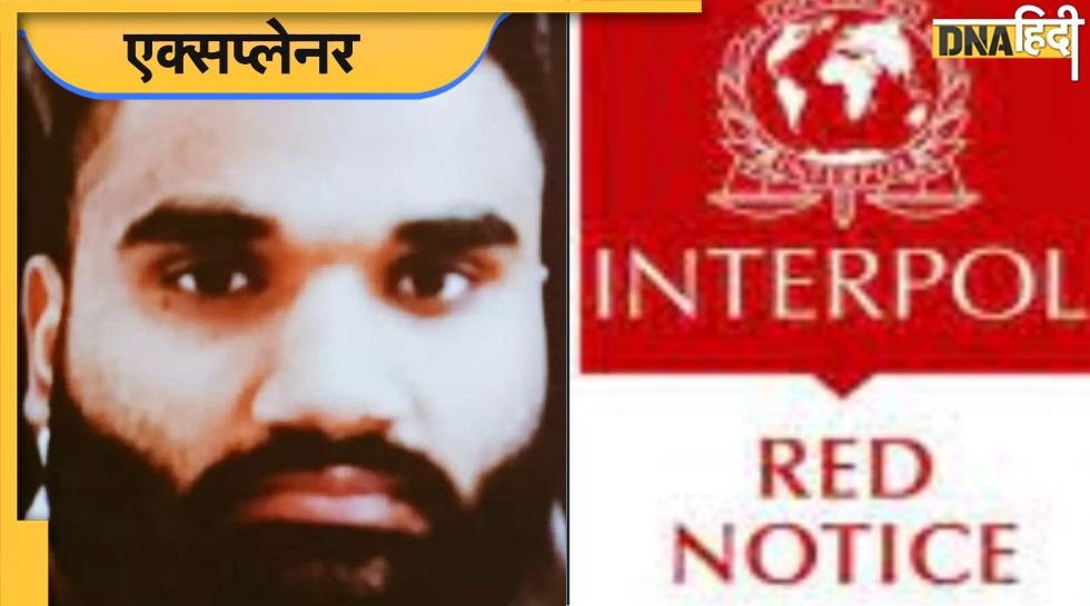 क्या होता है Red Corner Notice, सिद्धू मूसेवाला की हत्या से क्या है