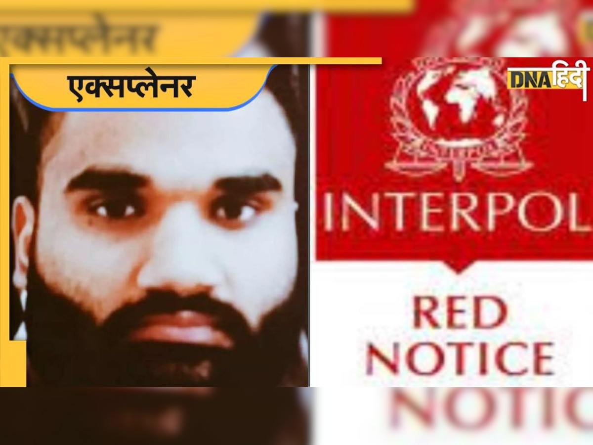 क्या होता है Red Corner Notice, सिद्धू मूसेवाला की हत्या से क्या है इसका कनेक्शन, जानें पूरी बात