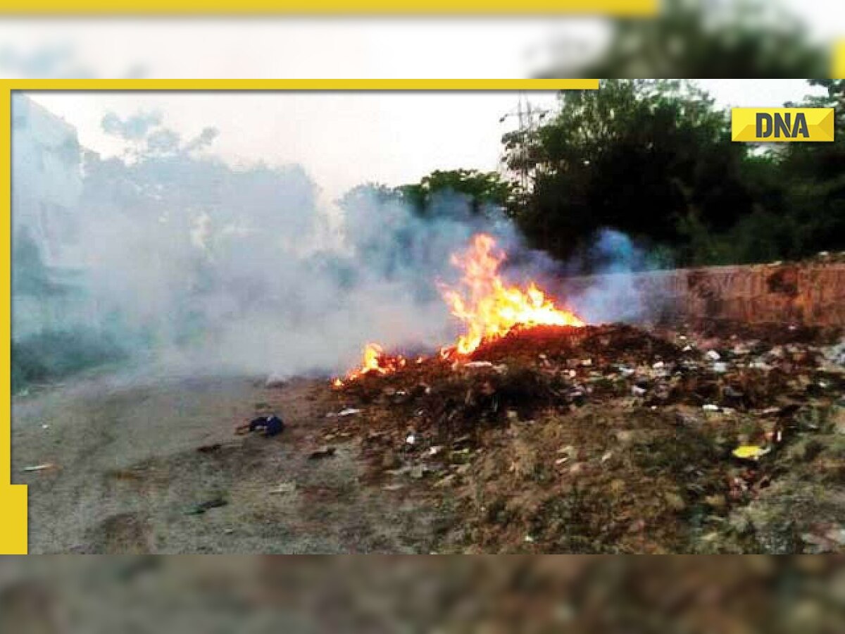 Delhi government extends anti-open burning campaign till June 30