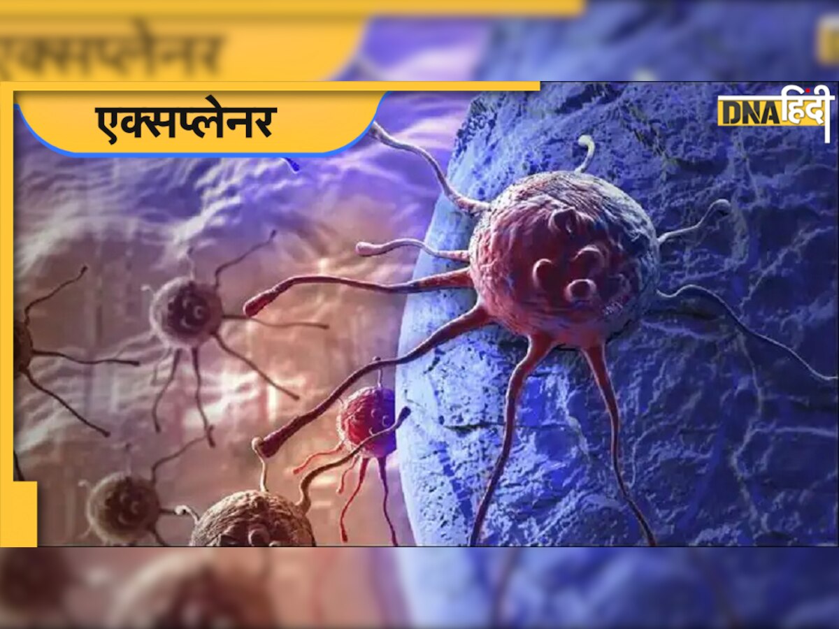 India First Cervical Cancer Vaccine: सीरम इंस्टिट्यूट ने विकसित की देसी वैक्सीन, जानें इसके बारे में सब कुछ 