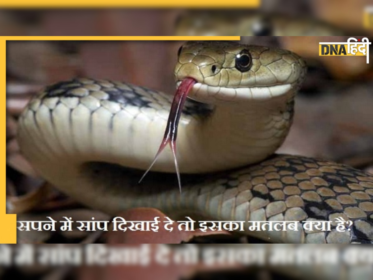 Snake  Dreams: सपने में सांप को इस अवस्था में देखना देता है अशुभ का संकेत