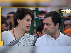 Himachal Election: कांग्रेस के कैंपेन की स्टार होंगी प्रियंका गांधी, रैलियों और रोडशो का शेड्यूल तैयार