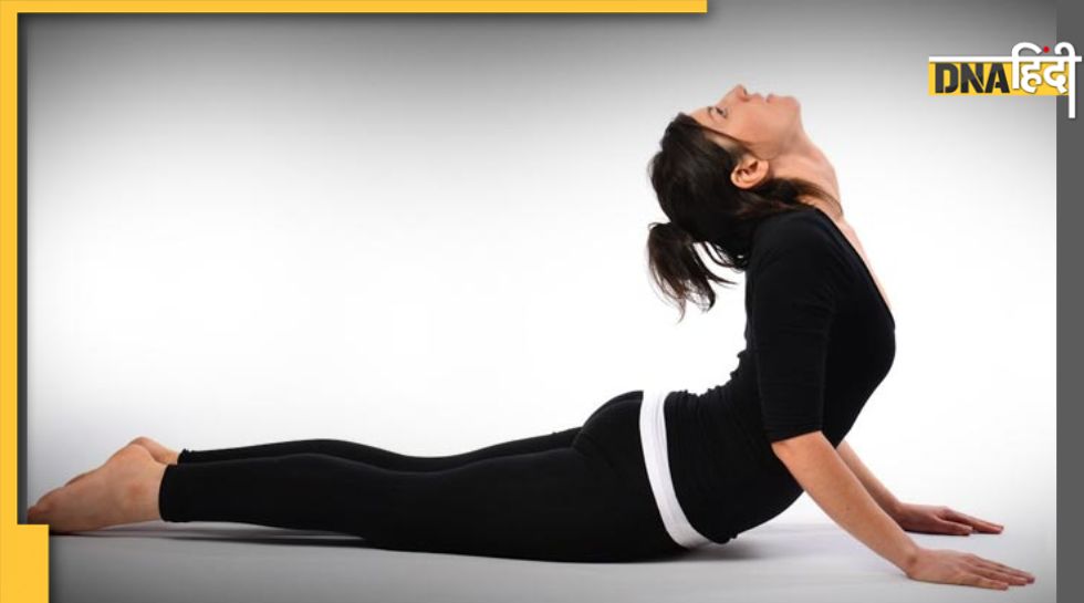 Cobra Pose Yoga Pose Benefits Cartoon स्टॉक वेक्टर (रॉयल्टी फ़्री)  1955464498 | Shutterstock