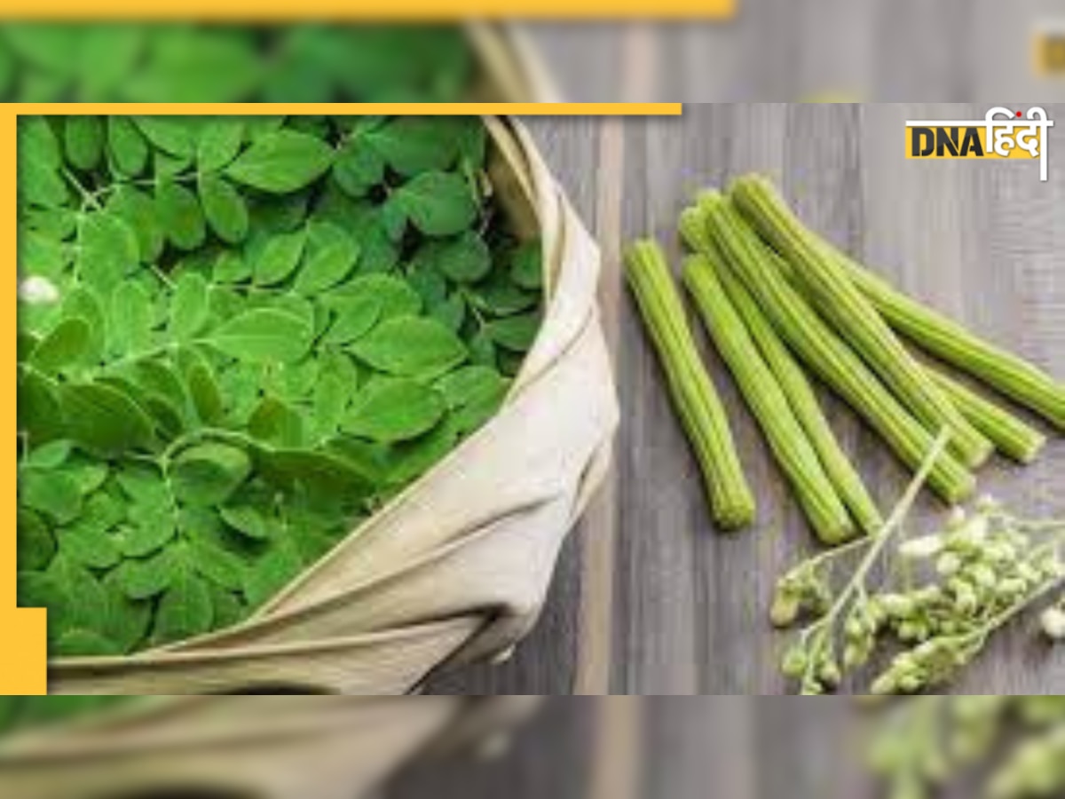 Benefits of Moringa Leaves in Hindi: हेल्थ के खजानों से भरपूर है सहजन,जानें इतिहास में क्यों है इसके इतने किस्से