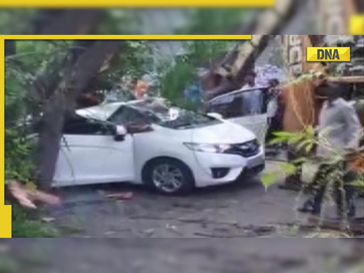 Chennai: Woman dies after tree falls on her car while driving