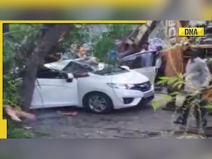 Chennai: Woman dies after tree falls on her car while driving