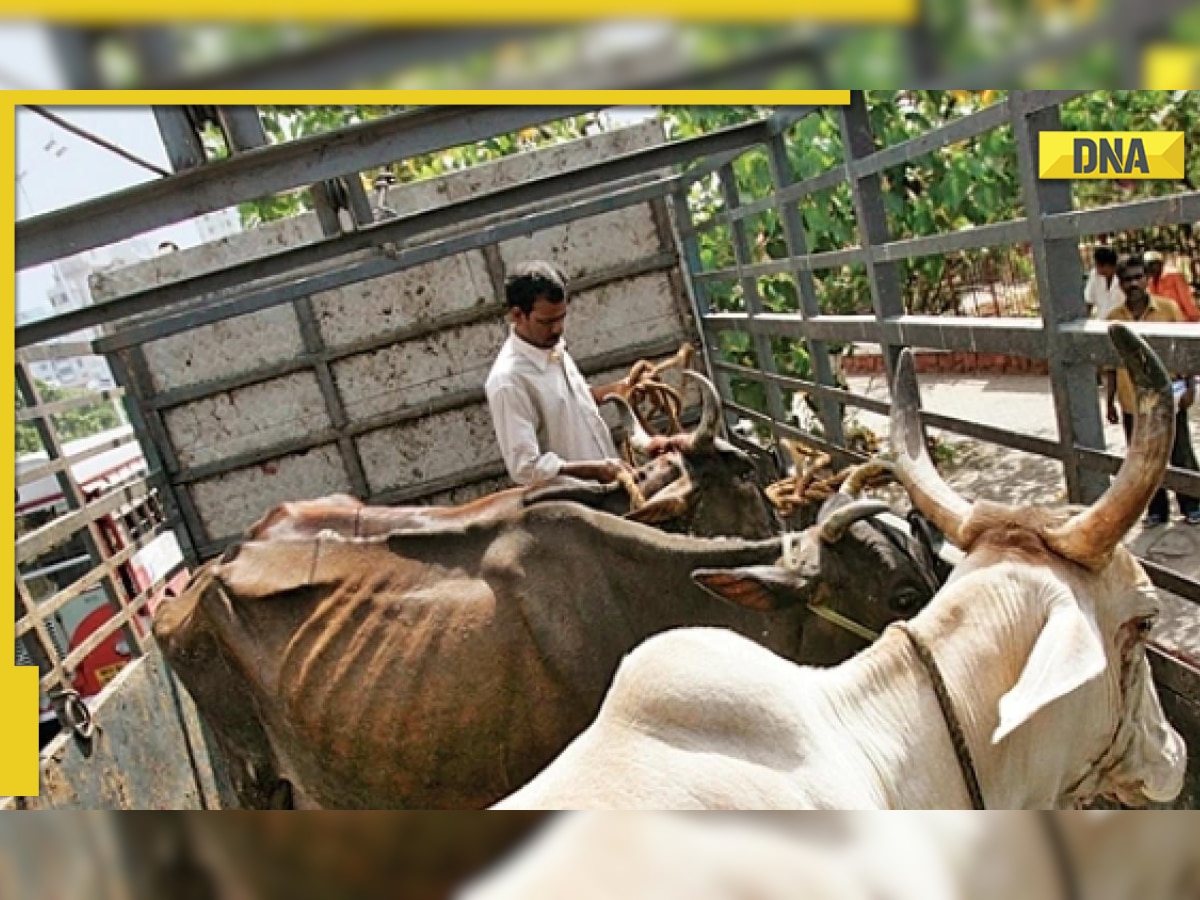 Karnataka: Dalit man forced to eat cow dung by upper-caste group, case filed