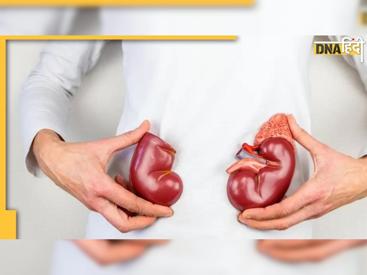 Kidney Disease : दिखने लगे ये 7 लक्षण तो समझें कमजोर हो रही है आपकी किडनी