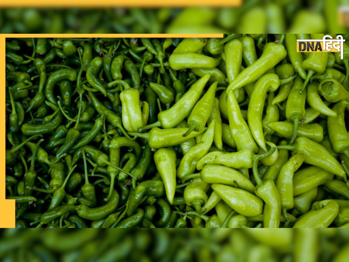 Health Benefits of Green Chilli: छोटी सी मिर्च खाने में स्वाद के साथ-साथ हेल्थ को भी बनाती है चुस्त