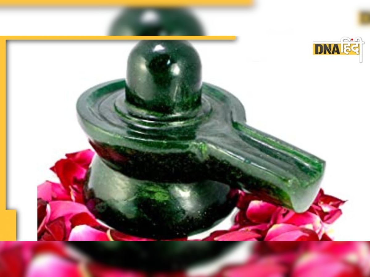 Rules Related to Shivling : घर में शिवलिंग की स्थापना से पहले जान लें शिवपुराण में वर्णित ये 10 जरूरी नियम