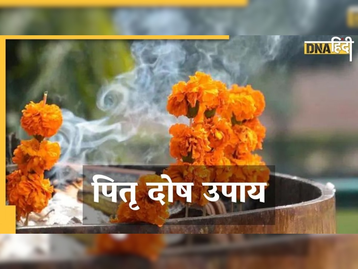 Ashadh Amavasya 2022: पितृ-दोष दूर करने के लिए यह दिन है सबसे लाभकारी, करें यह उपाय