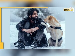 777 Charlie को देखते हुए खयाल आया ‘हम सभी चार्ली हैं’