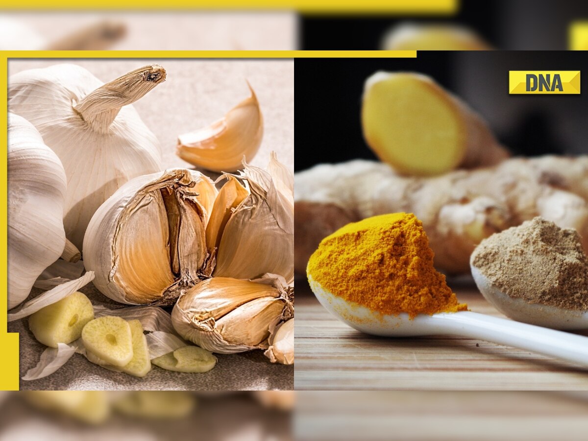 Turmeric, Garlic, Nuts: 5 foods to include in your monsoon diet