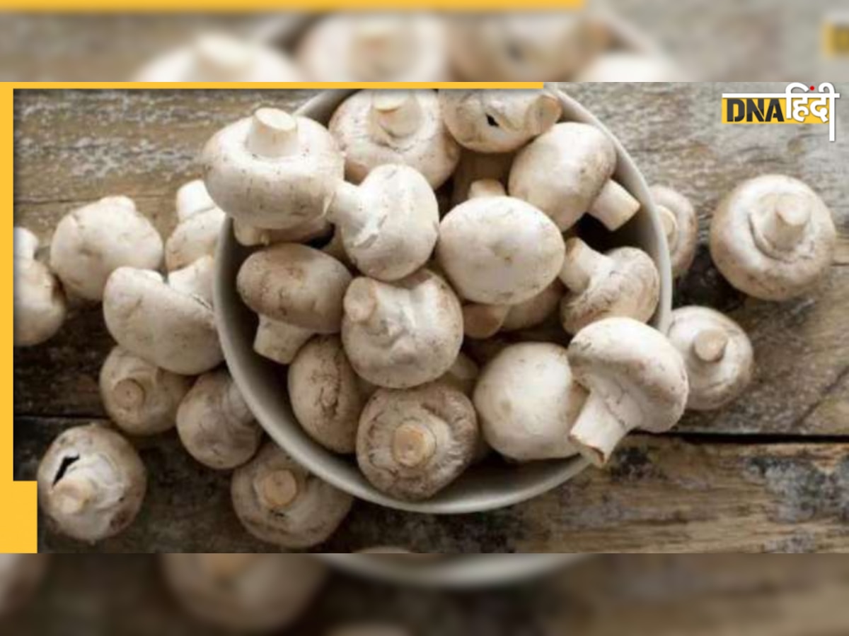  Mushroom Nutrition : नहीं है शुद्ध शाकाहारी भोजन पर देता है कमाल के Health Benefits 