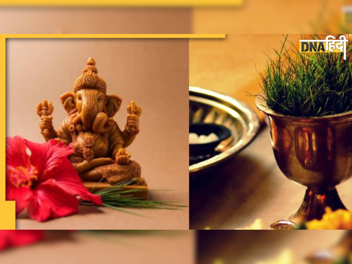 Durba Grass in Puja: दूब के बगैर इस भगवान की पूजा है अधूरी, जानिए इसके फायदे और धार्मिक महत्व भी