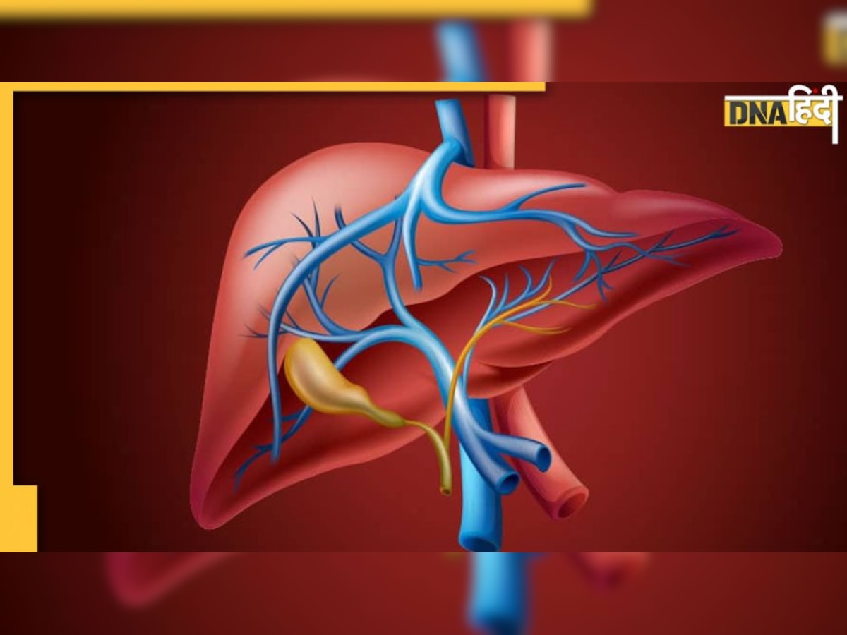 Liver Infection Sign: खुजली और पेट में सूजन जैसे 4 लक्षण लिवर इंफेक्शन का है संकेत