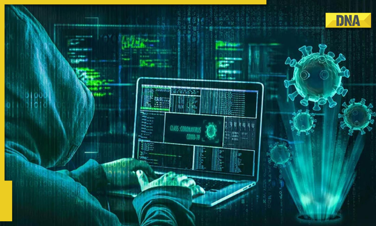 Raccoon Stealer 2.0: Password-stealing malware is back with new version ...