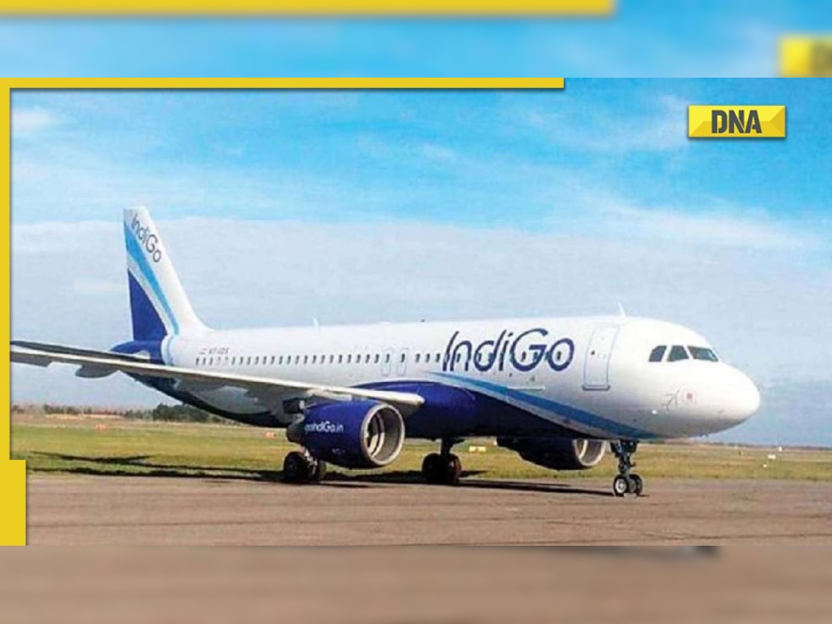 55 percent IndiGo domestic flights get delayed What caused disruption