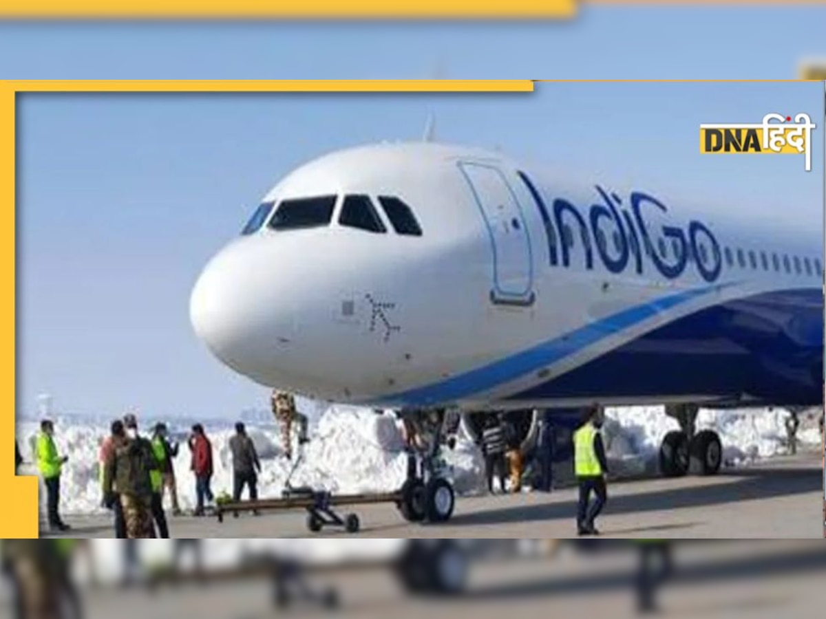 एक प्रेमी जोड़े की 'मोबाइल चैट’ ने 6 घंटे तक नहीं उड़ने दी IndiGo फ्लाइट, जानें क्या है मामला