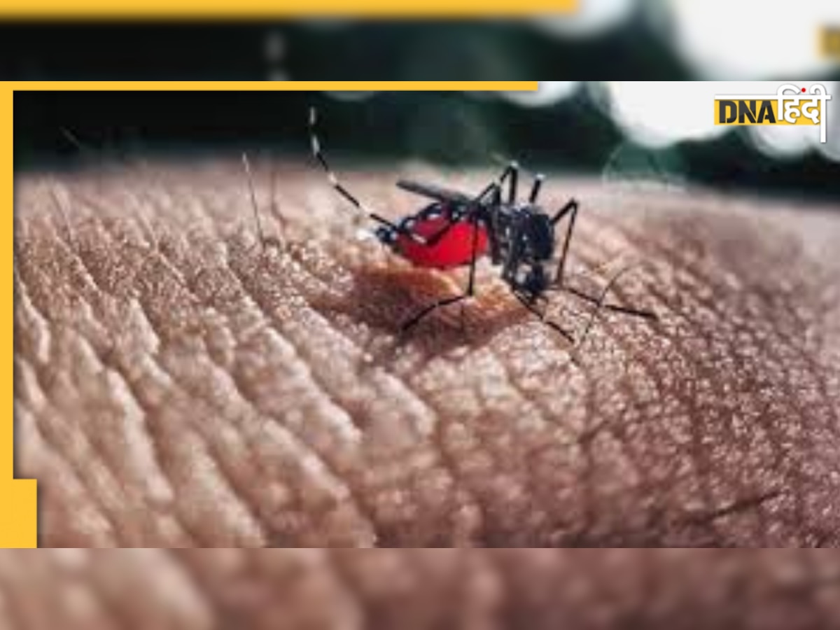 Dengue Fever Alert: डेंगू से बचने के लिए अपनाएं ये उपाय, अगर दिखते हैं ये लक्षण तो करवाएं ये टेस्ट