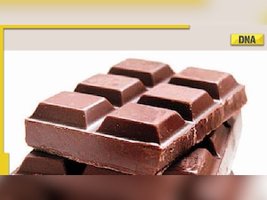 World Chocolate Day 2022: Does chocolate lower the risk of heart disease, all you need to know