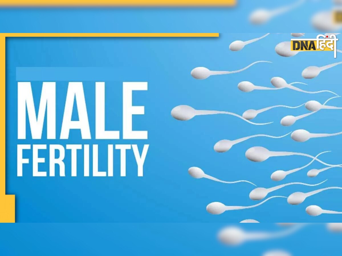 Men's Infertility: महिलाओं के साथ-साथ पुरुष भी हैं इनफर्टिलिटी के जिम्मेदार, शोध में हुआ खुलासा