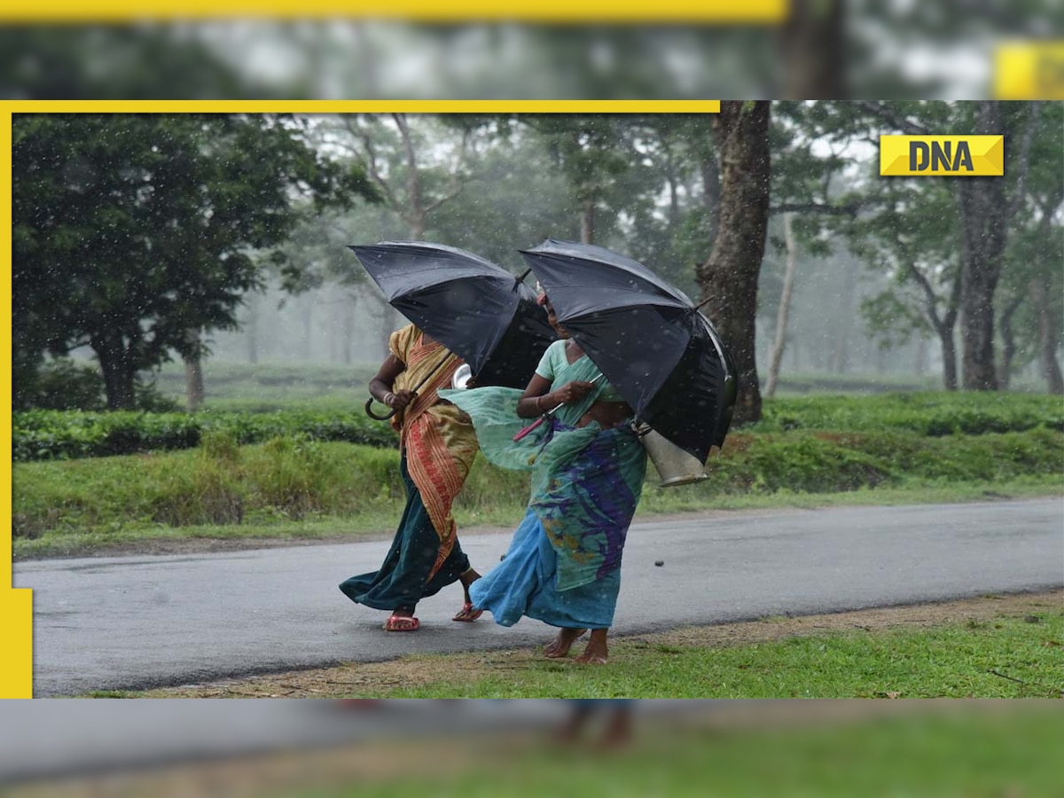 IMD issues red alert for Goa amid heavy rainfall prediction till July 10, know the weather of your city