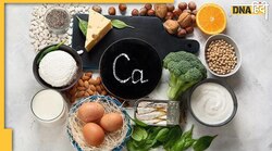 Calcium Rich Foods: सिर्फ दूध, पनीर में ही नहीं है कैल्शियम, इन खाने की चीजों को करें डाइट में शामिल तो दूर होगी ये समस्याएं