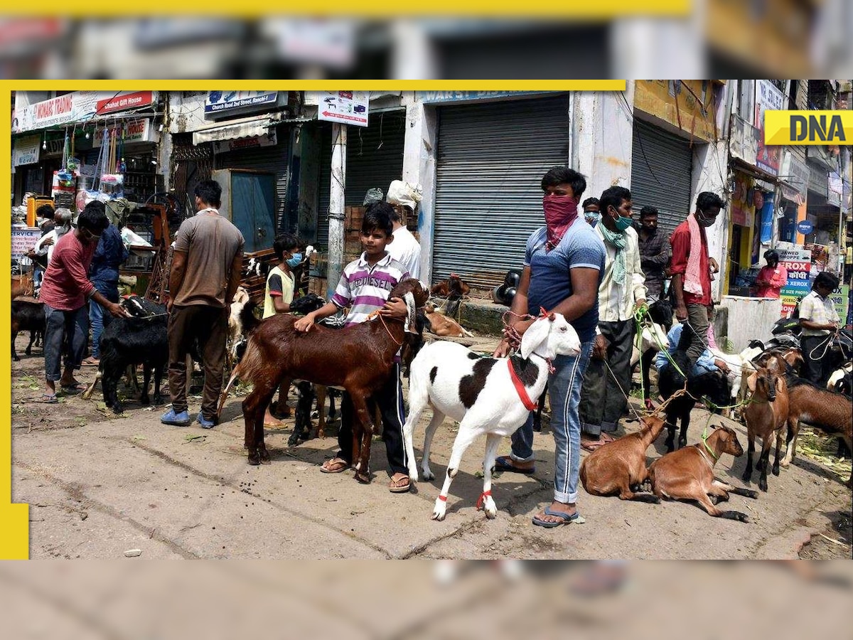 Eid-ul-Adha 2022: Indore witnesses shortage of goats due to high demand ahead of Bakrid