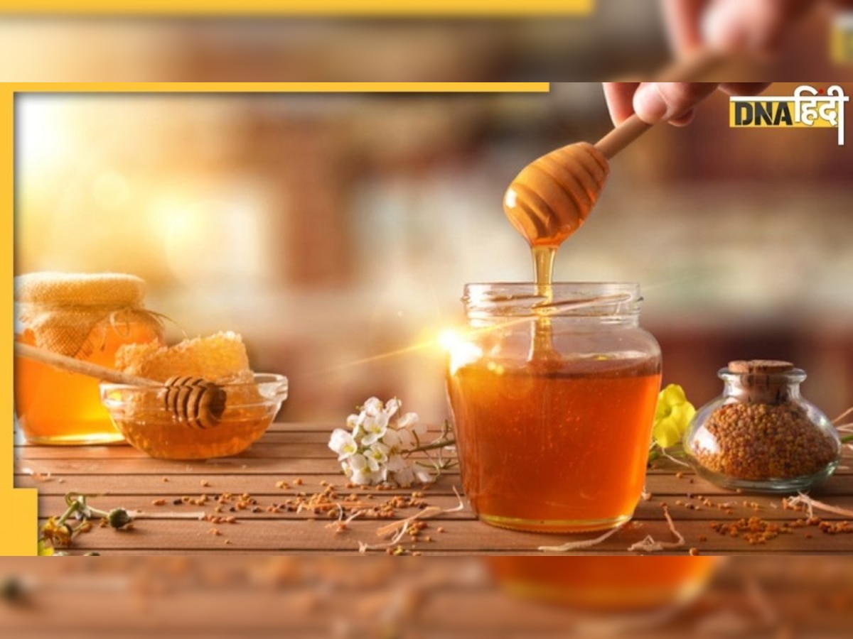 Honey Side Effects: अमृत कहते हैं शहद को पर इन लोगों के लिए है मुसीबत की खान…